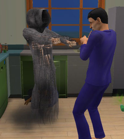The Sims